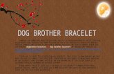 Dog brother bracelet