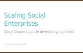 Scaling Social Enterprises: Dairy Cooperatives in Developing Countries