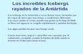 Icebergs Rayados Antártida