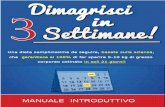 Dimagrisci in 3 Settimane - Brian Flatt