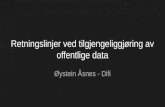 Retningslinjer ved tilgjengeliggjøring av offentlige data || Øystein Åsnes