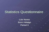 Statistics questionnaire