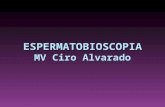 Espermatobioscopia 2 equipo 5