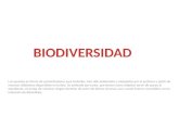 Bg biodiversidad