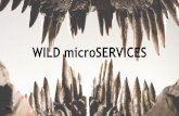 WILD microSERVICES v2