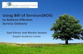Using Bill of Services(BOS)