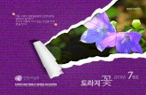도라지꽃 2016년7월호