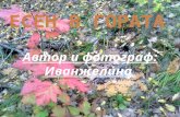 Иванжелина-Есен в гората-4 д клас