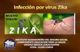 Infeccinporviruszika 151207213411-lva1-app6892