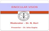 Binocular vision basics