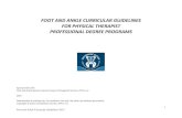 foot and ankle curricular guidelines for physical therapist