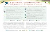 Agricultura Climáticamente Inteligente en Chiapas, México