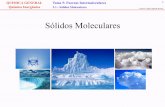 5.1.4 (1) - Sólidos Moleculares.pdf