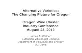 Alternative Varieties: The Changing Picture for Oregon Oregon Wine ...