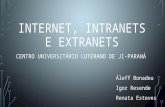 Internet, intranet e extranets