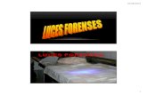 3970 luces forenses