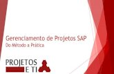 Gerenciamento de Projetos SAP: Do Método a Prática
