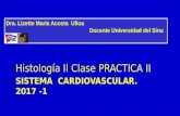 Ppt 2 cardiovascular  cp  2  histologia ii