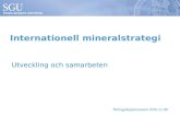 Internationell mineralstrategi 161108