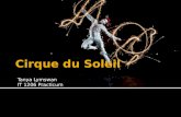 Cirque du Soleil Presentation