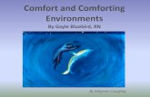 Comfort And Comforting Environments - Delaware
