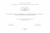 Theses of dissertation (Hungarian)