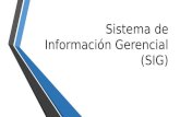 Sistema de información gerencial (sig)