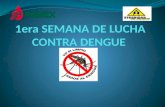 1era semana de lucha contra dengue