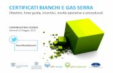 Introduzione: "CERTIFICATI BIANCHI E GAS SERRA. Obiettivi, linee guida, incentivi, novità operative e procedurali."