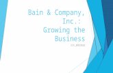 Bain & Company, inc: Growing the business