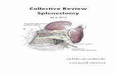 Collective Review Splenectomy
