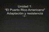 Unidad 1: ¨El Puerto Rico Americano¨