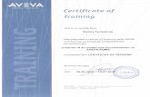 PDMS Certificate