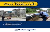 NUEVO Boletín Informativo de Gas Natural 2015-II
