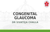 Congenital glaucomas