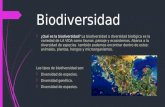Biodiversidad- jose carlos#182E