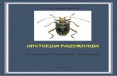 А.О. Беньковский (Coleoptera: Chrysomelidae: Donaciinae)