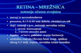 RETINA - MREŠNICA