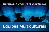 Treinamento para Equipes Multiculturais