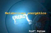 Metabolismo energético: respiração celular e fermentação