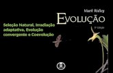 Evolução: seleção natural, Irradiação Adaptativa, Evolução Convergente e Coevolução.