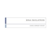 RNA isolation