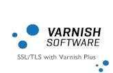 Varnish SSL / TLS