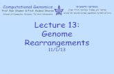 Lecture 13: Genome Rearrangements