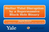 Stellar Tidal Disruption by a Supermassive Black Hole Binary