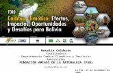 Cambio Climático y desafios para Bolivia