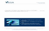 Rapporto infortuni mortali 2013 Vega Engineering