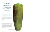 El Hacha Humboldt: un objeto ritual olmeca tallado en jadeitita