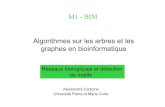 Algorithmes sur les arbres et les graphes en bioinformatique M1 - BIM