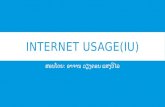 Internet usage ການນຳໃຊ້ອິນເຕີເນັດ